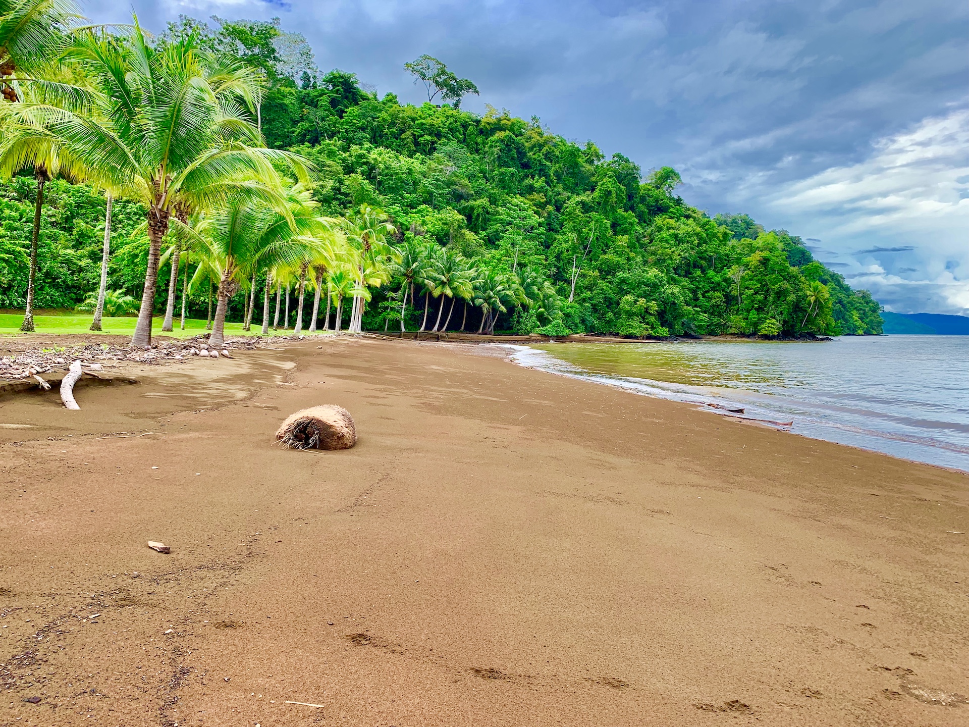 For Sale Stunning Oceanfront Property On The Osa Peninsula, Rincon